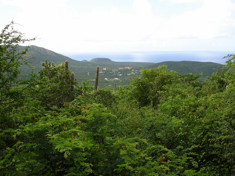 2010-11-24 15-30-14 Ludo.JPG